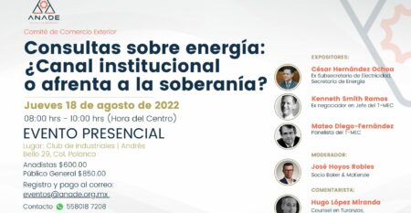 Consultas sobre energía: ¿Canal institucional o afrenta a la soberanía?